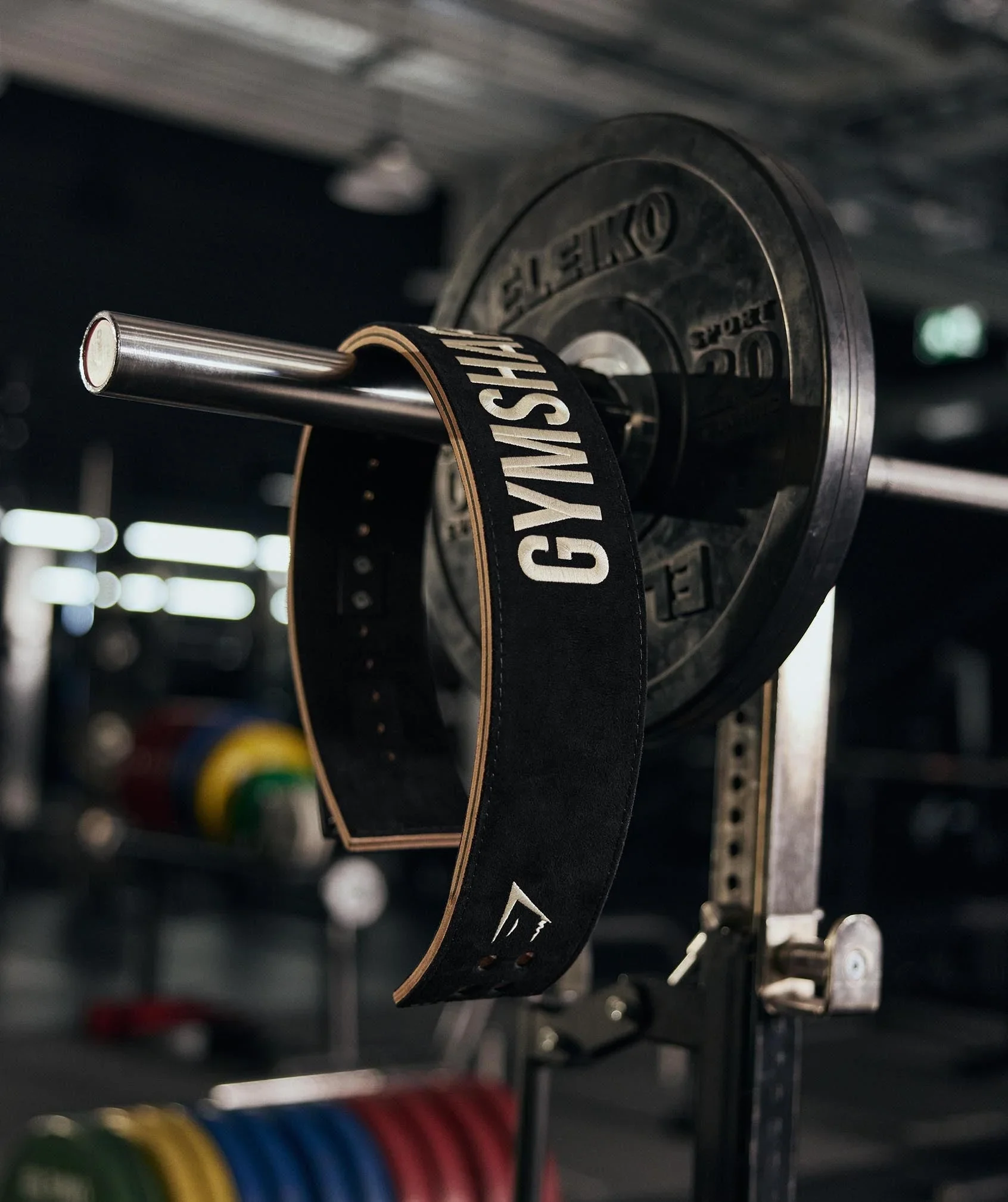 Lifting Belt