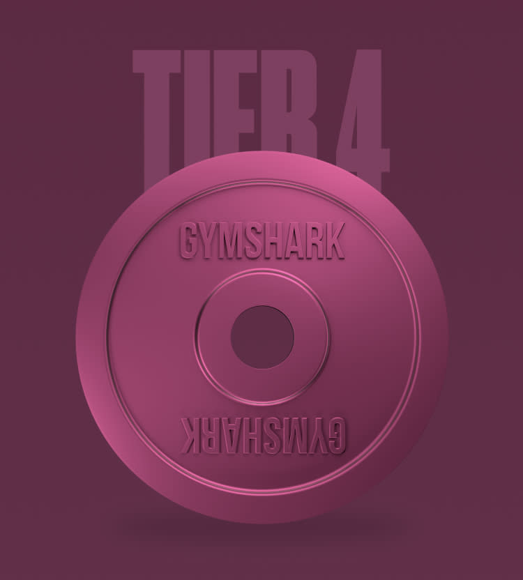 Tier 4