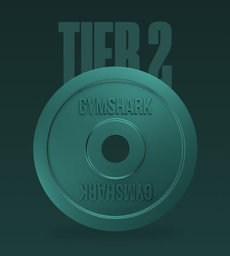 Tier 2