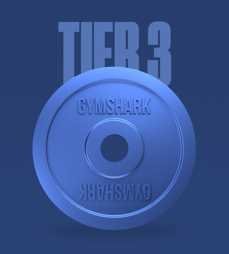 Tier 3