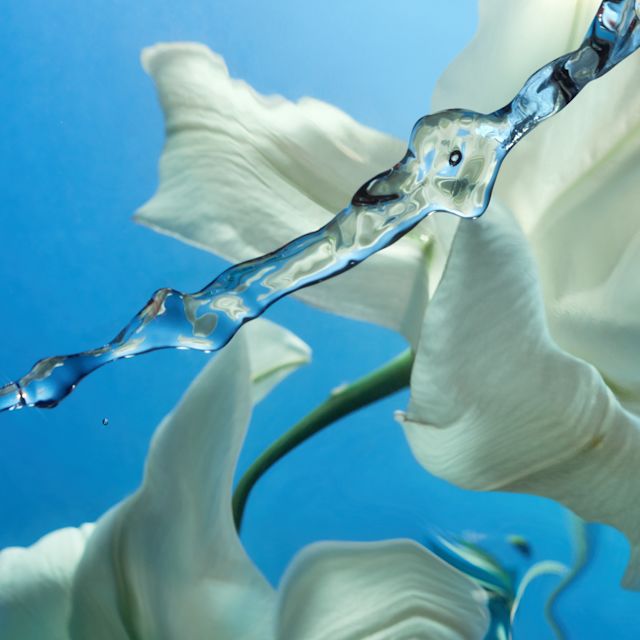 Watery Accord aquatic fragrance ingredient in Charlotte's Calm Bliss eau de parfum
