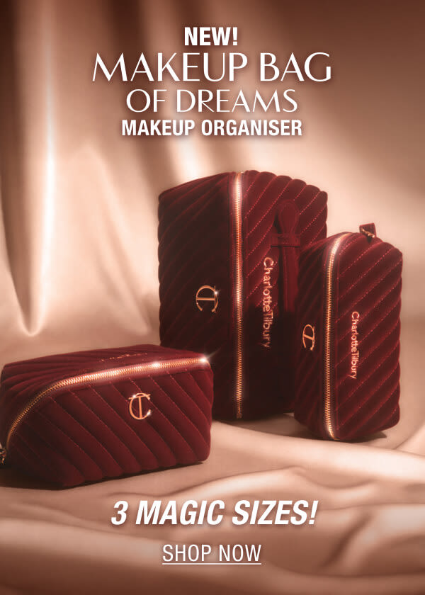 Makeup Bag of Dreams in 3 Magic Sizes! 