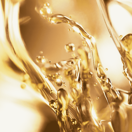 DAIKON RADISH SEED OIL DAIKON RADISH SEED OIL