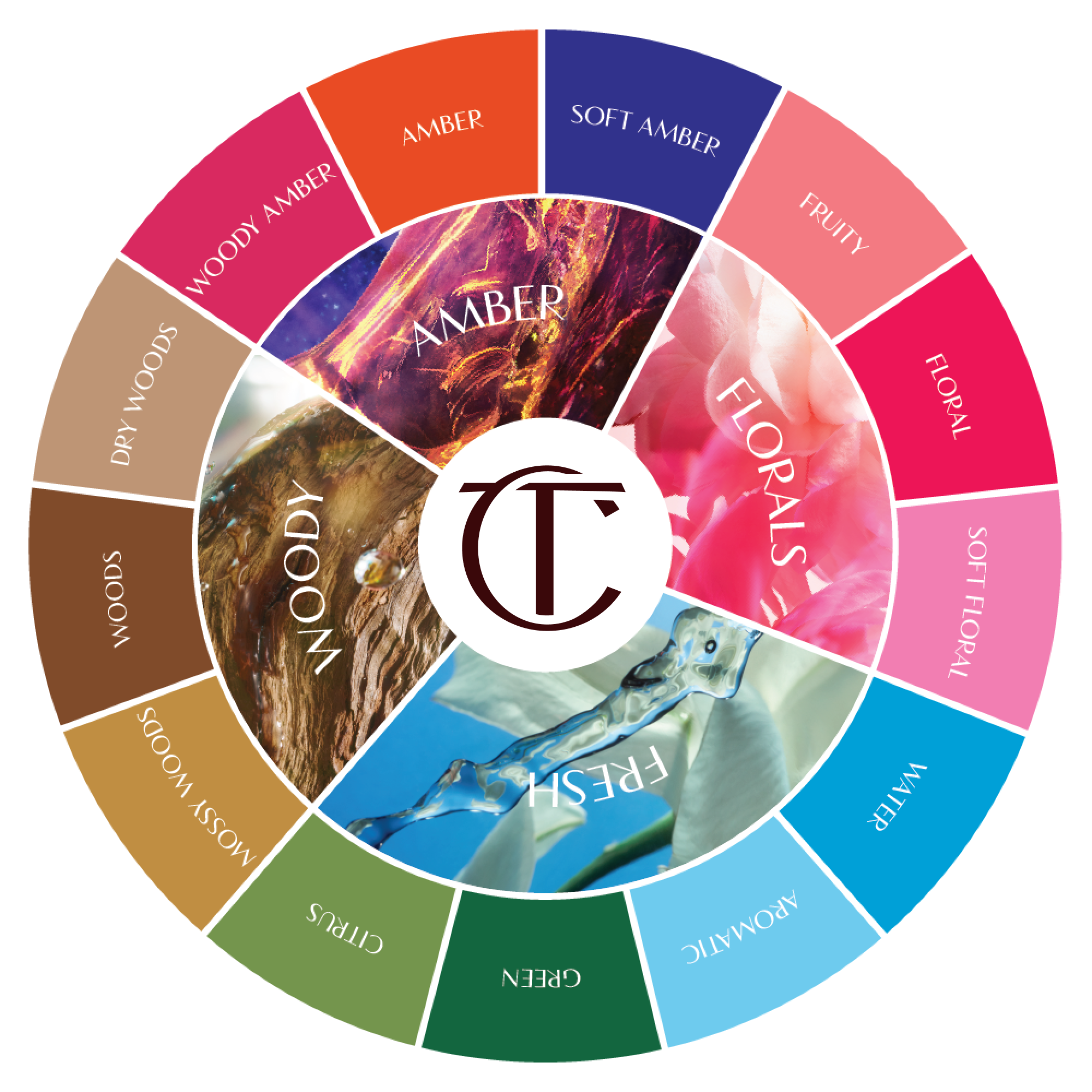 Wheel graphic depicting the different types of fragrance family including fresh, floral, woody and amber families