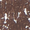 Close-up swatch of an eyebrow pencil in a medium brown shade. 