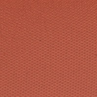 beautifying-eye-trends-palette-sensual-sunset