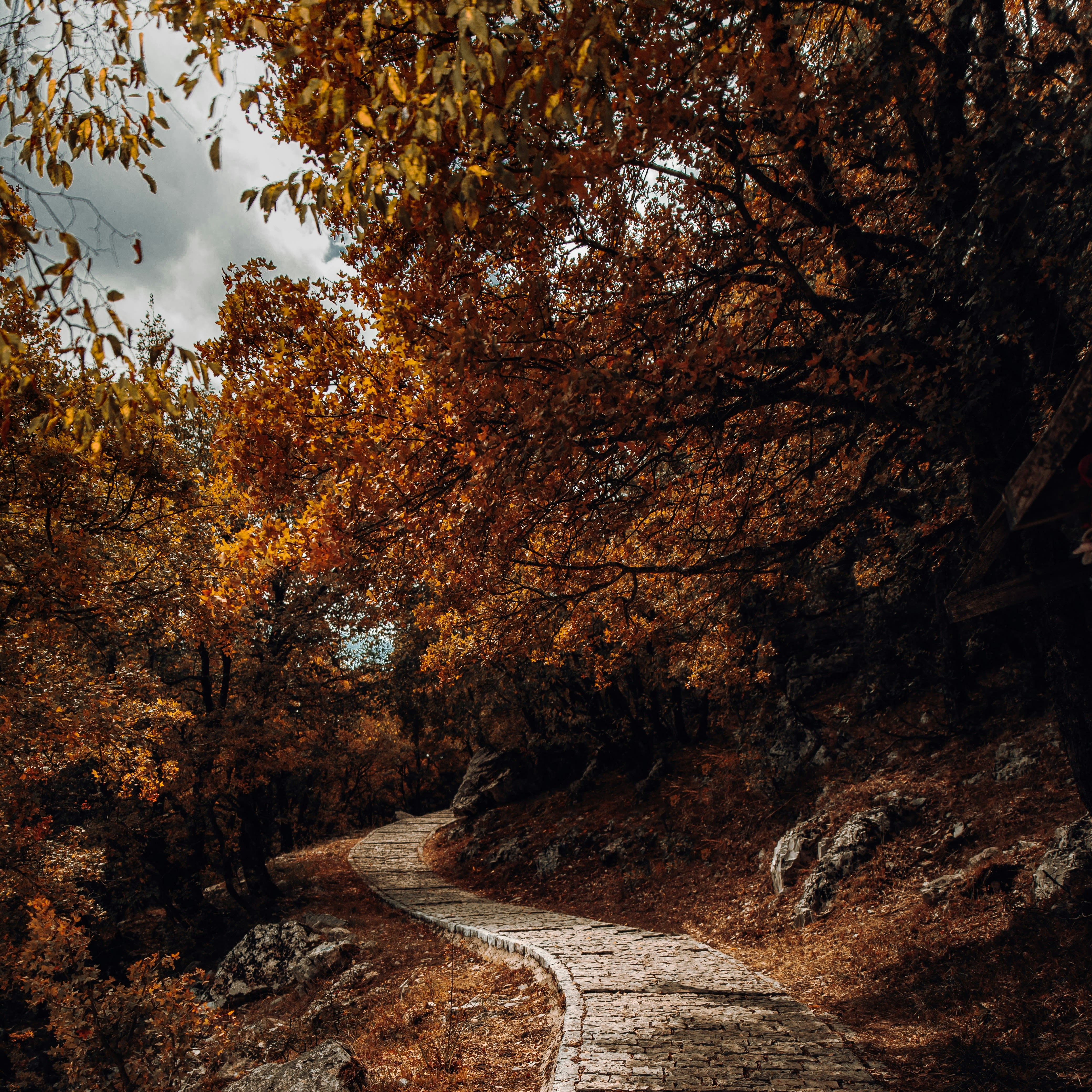 Autumnal view walking in nature