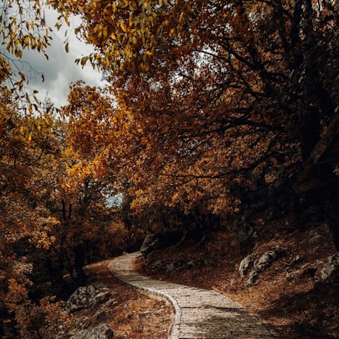 Autumnal view walking in nature