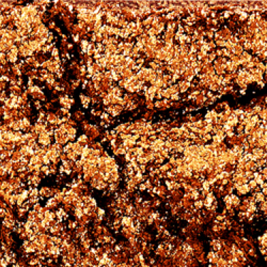 Swatch of an iridescent orange-gold eyeshadow with very fine shimmer. 