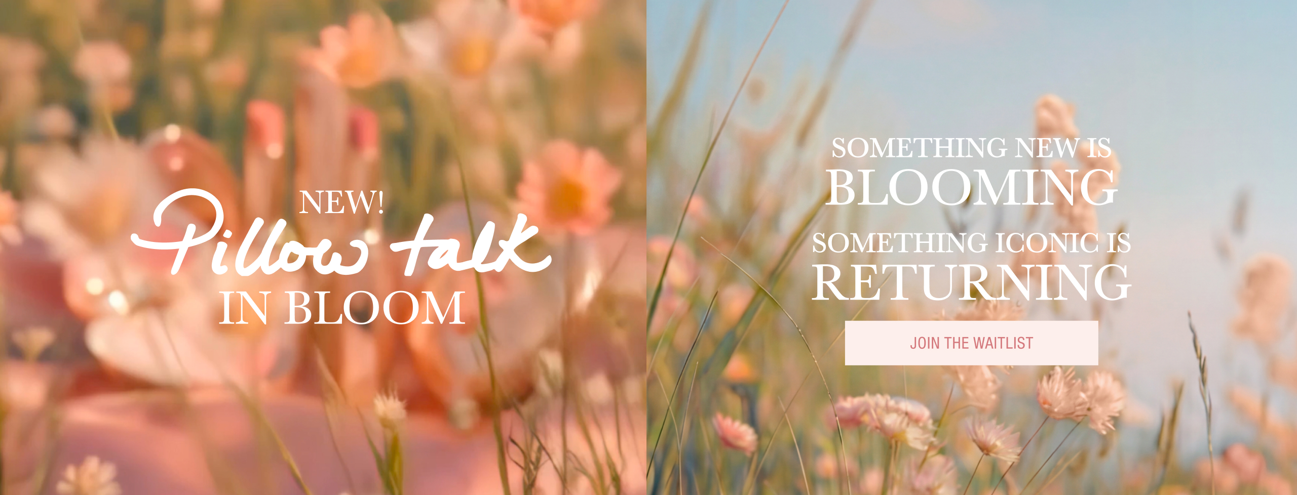 Pillow Talk Collection Tease - Something new is blooming