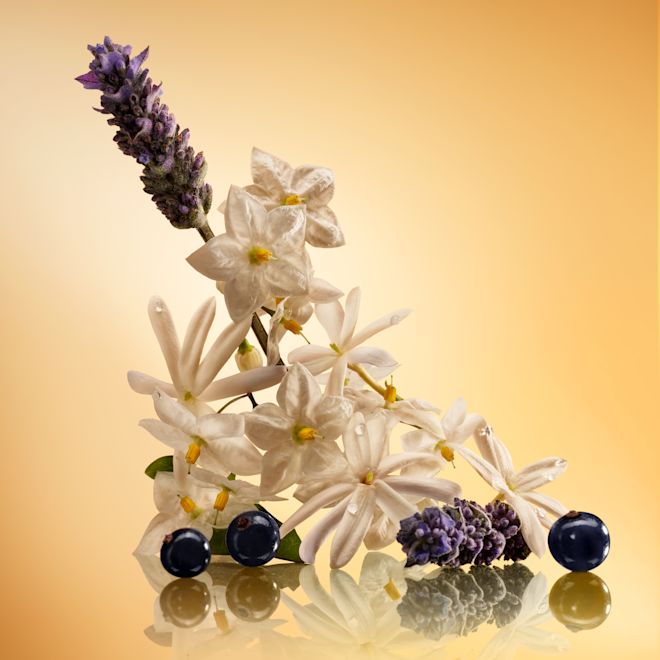 Star Confidence Creative Still Ingredients Only Star Confidence Creative Still Ingredients Only