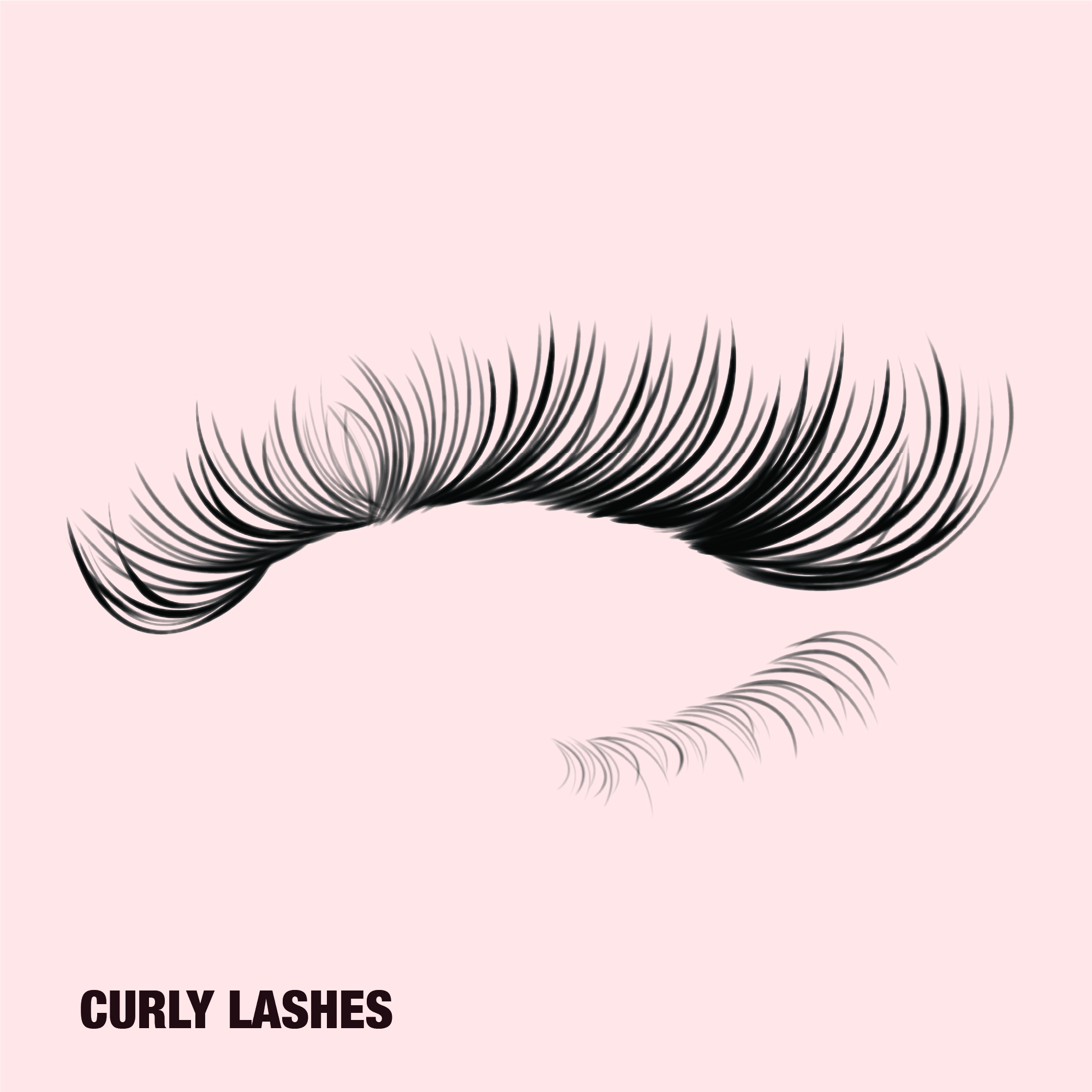 Curly eyelashes with an accentuated bouncy curl