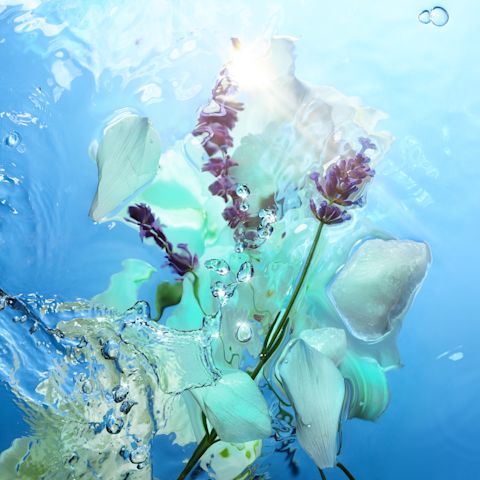 Fragrance ingredients lavender, watery accord and white musk used in Charlotte's fragrance collection