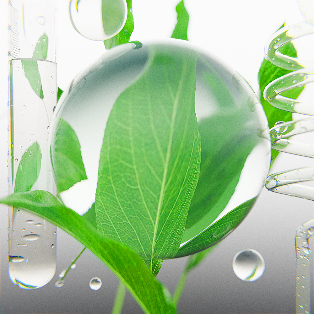 LEMON MYRTLE LEAF 1000x1000