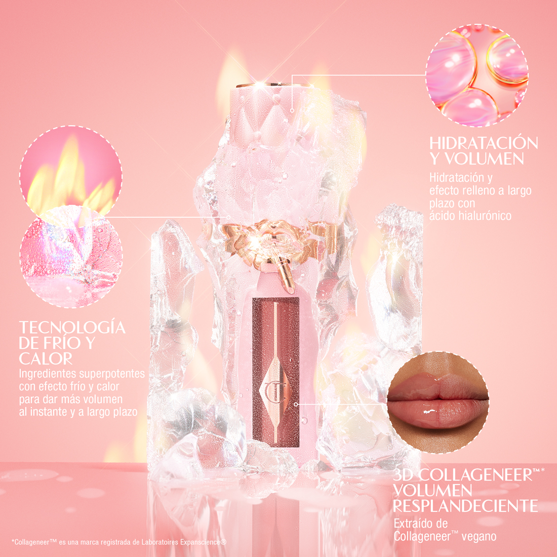 Ingredientes principales de Pillow Talk Big Lip Plumpgasm