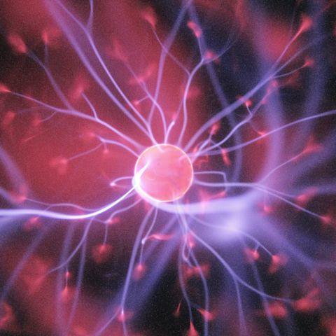 The effects of perimenopause on the brain and mental health