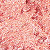 Close-up of a swatch of an eyeshadow pigment in a berry-pink shade.