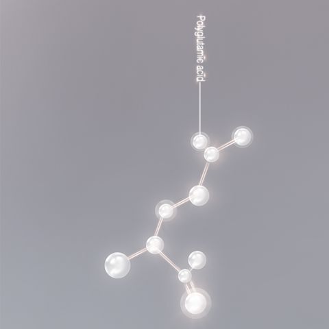 Glowing, pearly-white polyglutamic acid molecules.