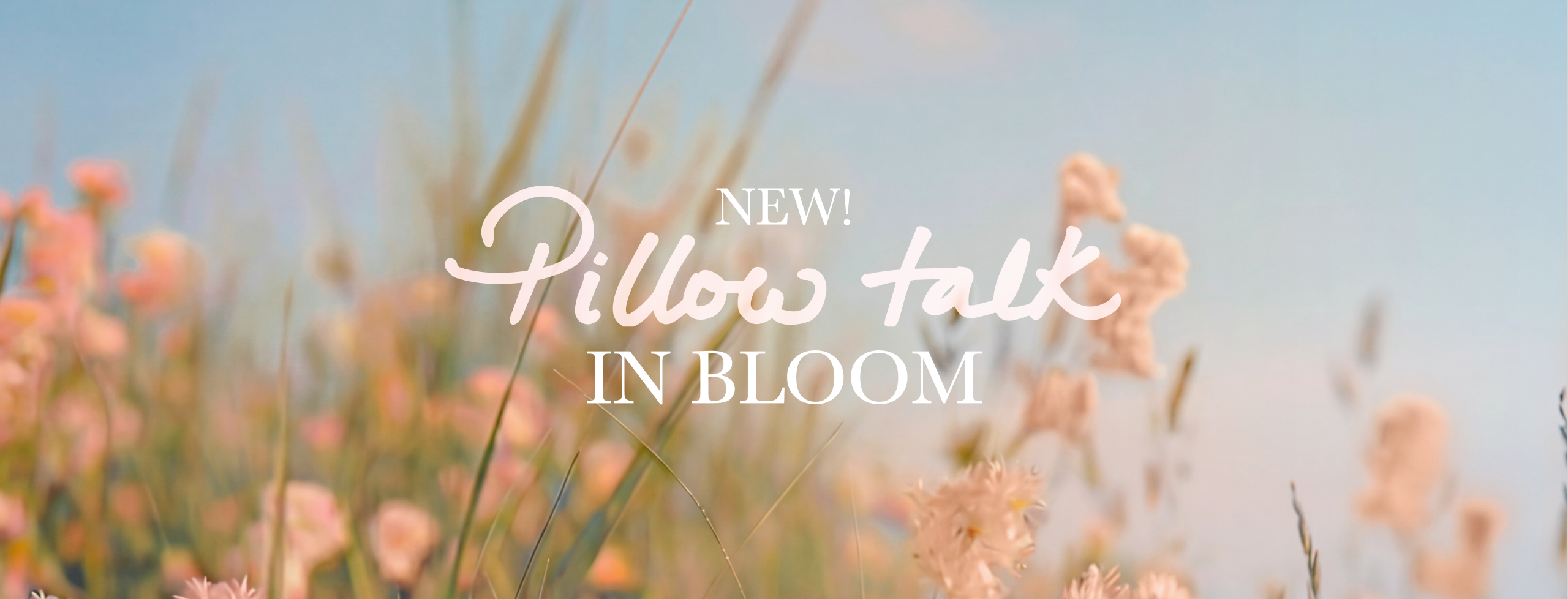 NEW! PILLOW TALK IN BLOOM