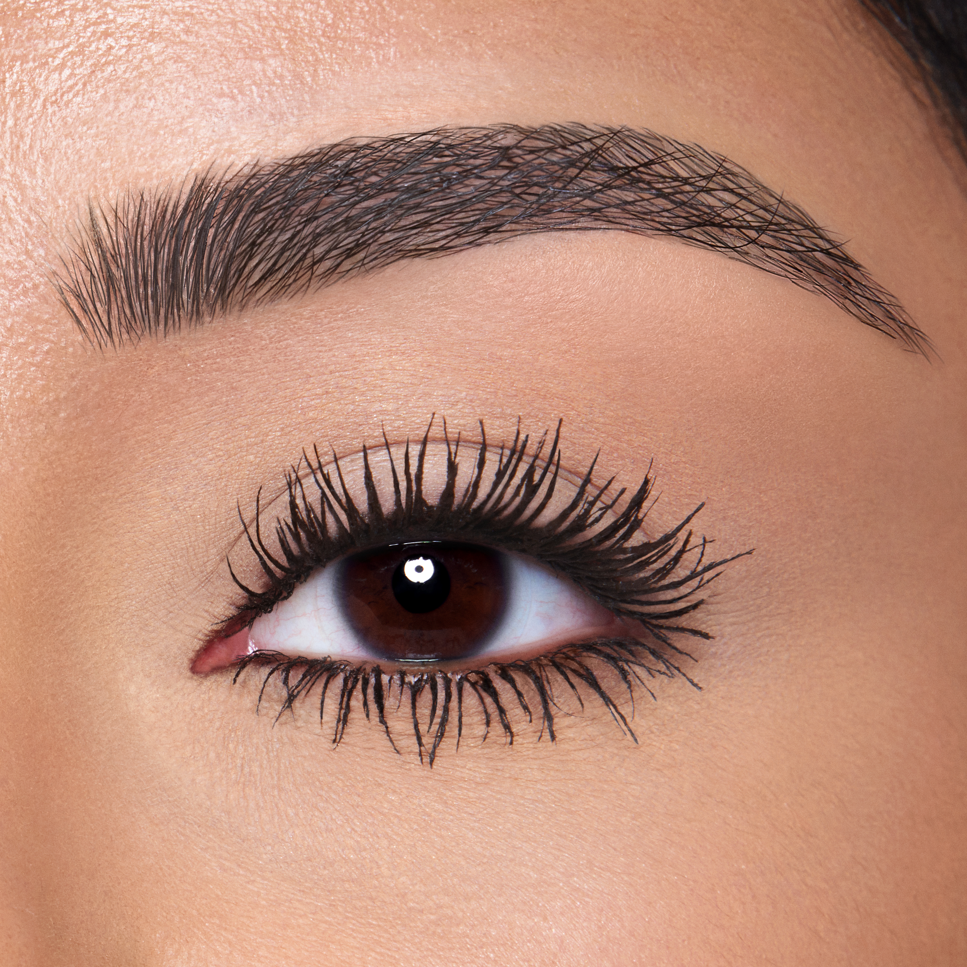 HollywoodLashesMedium