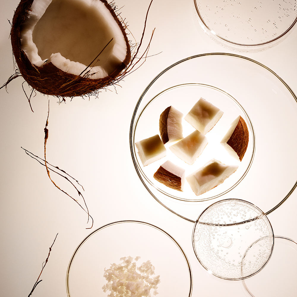 Cut-up coconut pieces under a microscope.