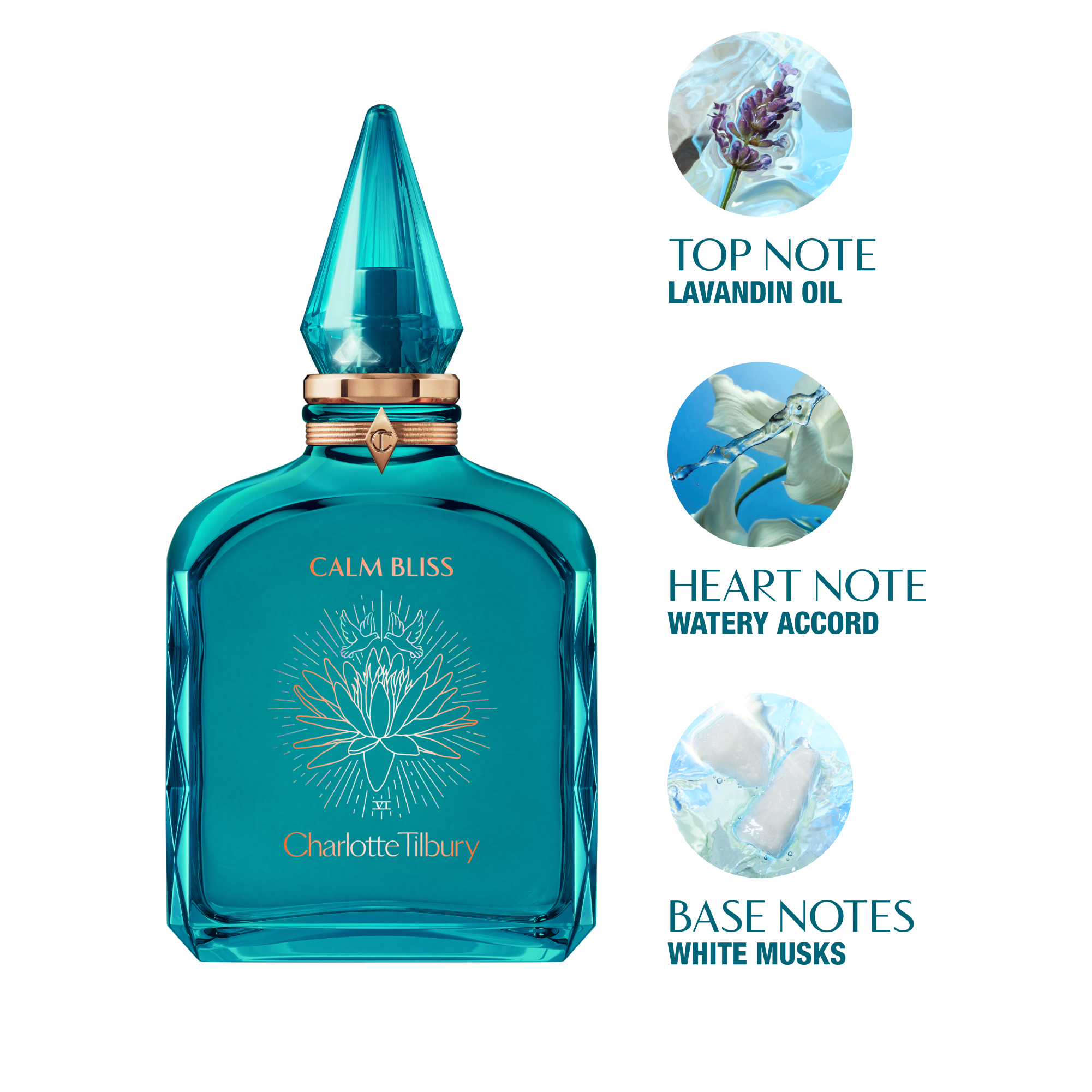 Calm Bliss key notes