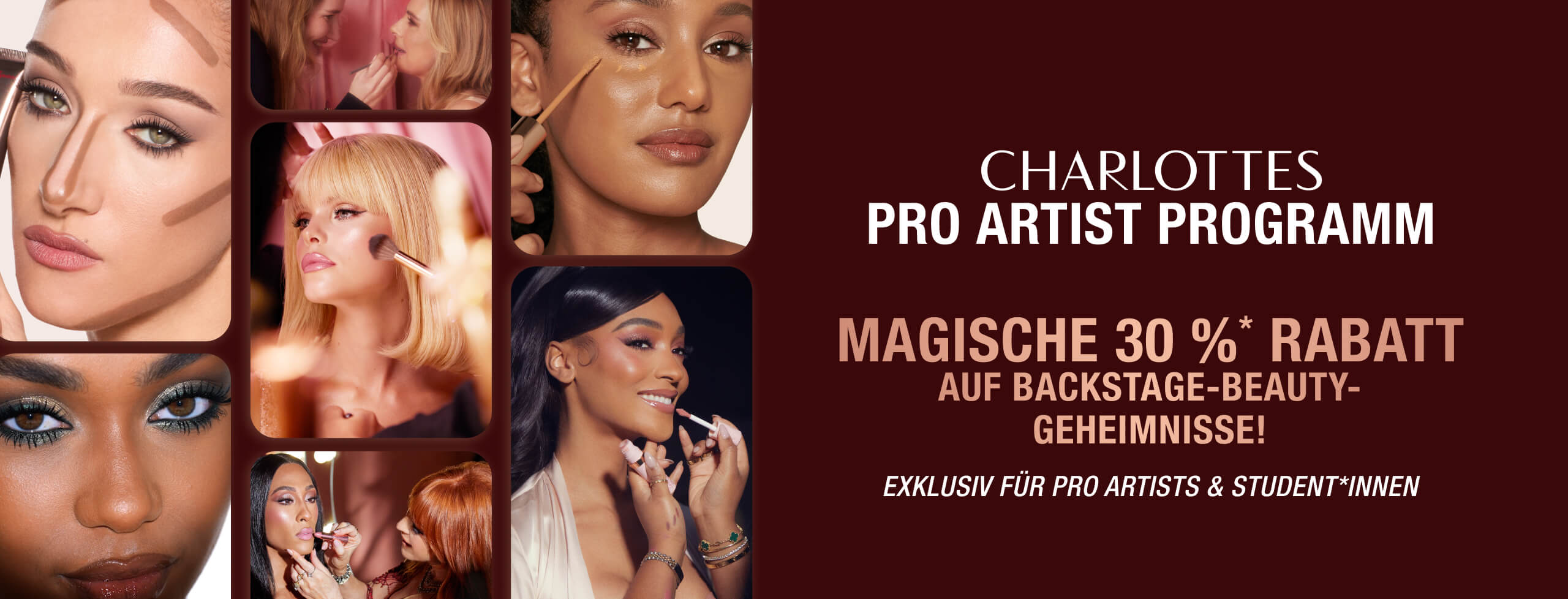 DE ProProgram-Hero-Banner-MB