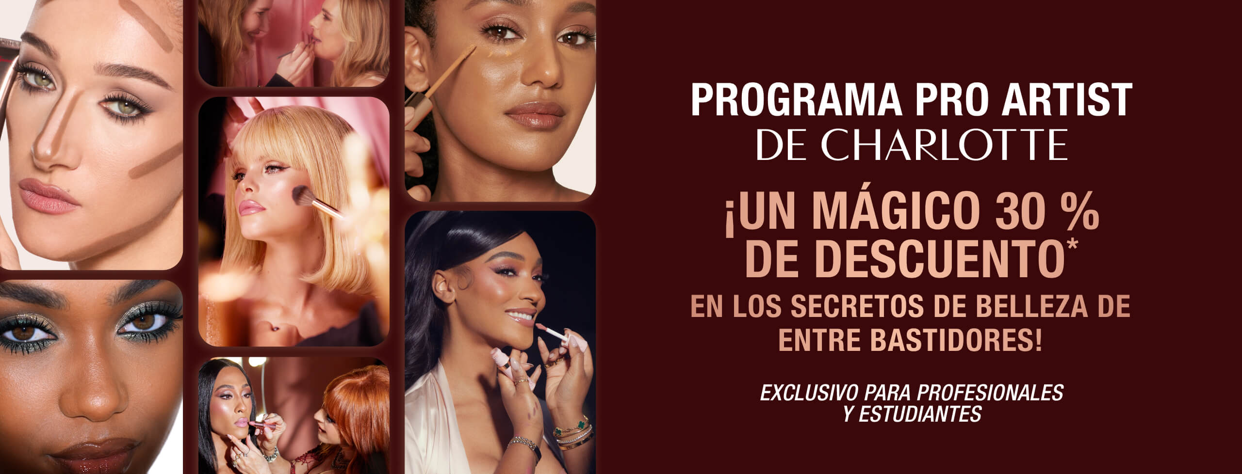 ES ProProgram-Hero-Banner-MB