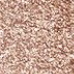 Exagger-eyes Eyeshadow Stick - OYSTER TWILIGHT Swatch