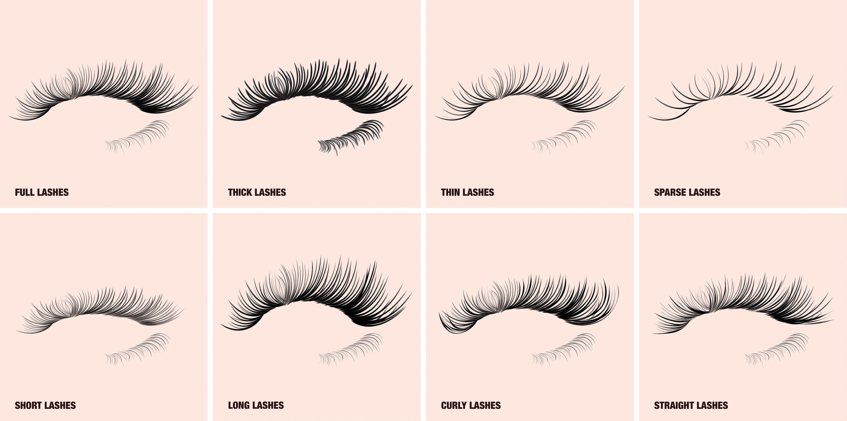 What are the different types of eyelashes