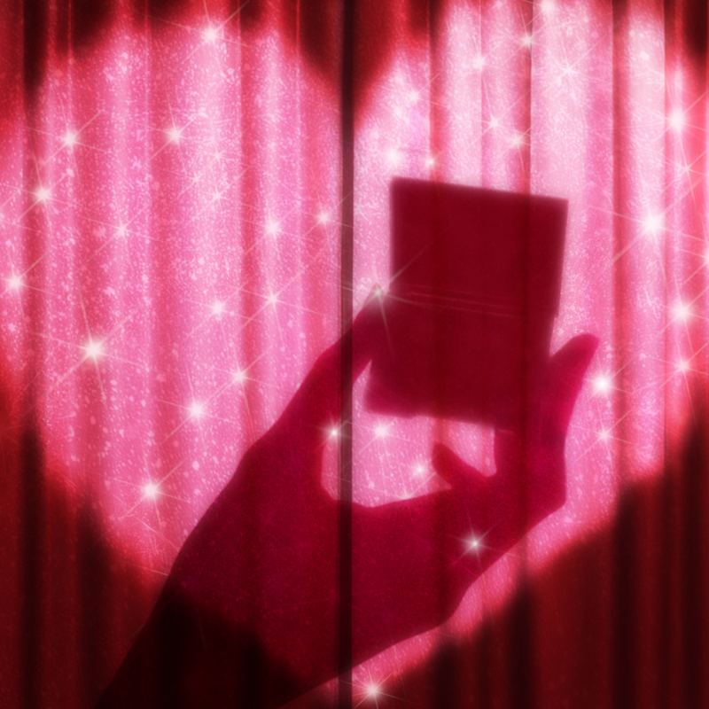 CHARLOTTE’S MYSTERY BEAUTY ICONS L.O.V.E. BAG-popshot