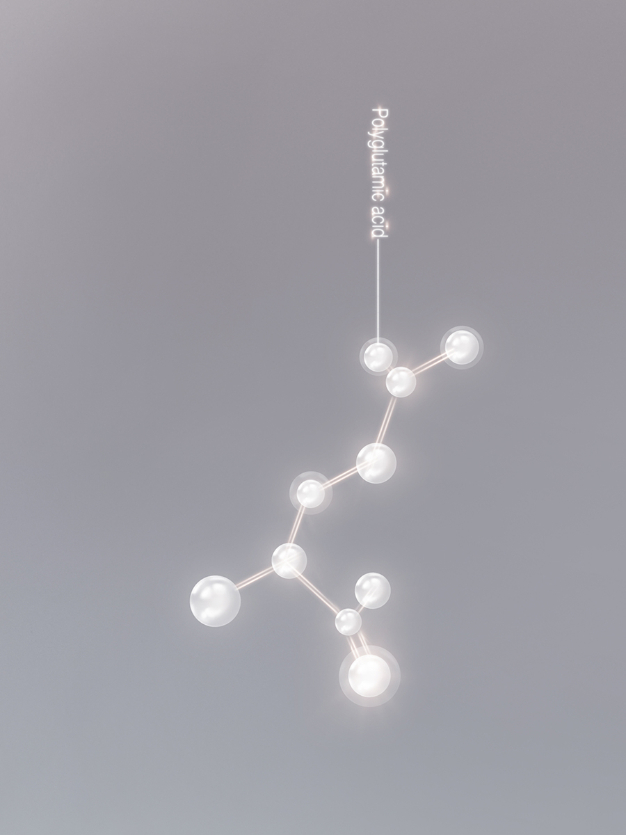 3x4 - POLYGLUTAMIC ACID MOLECULE