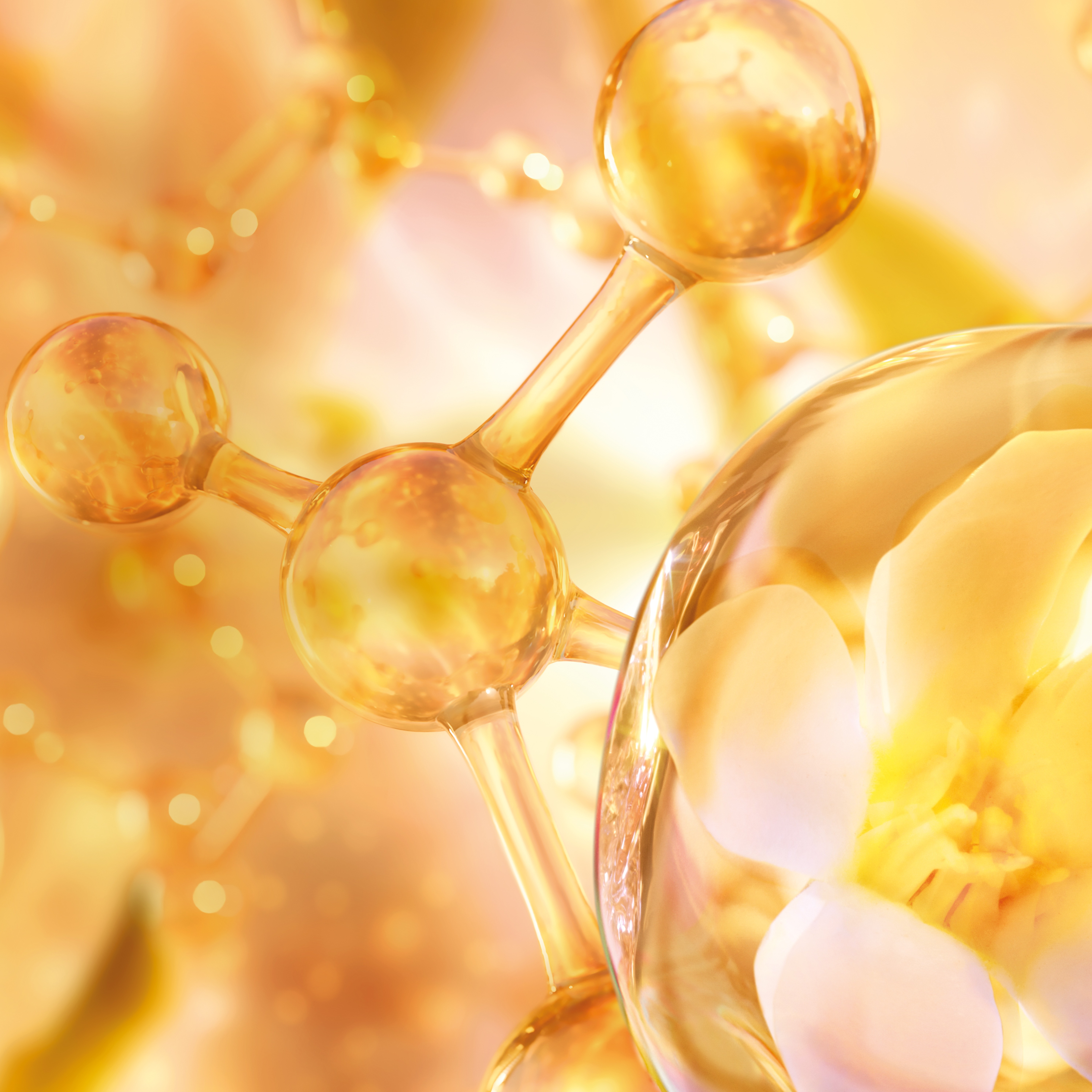 Joyphoria: Warm Floral Vanilla Perfume