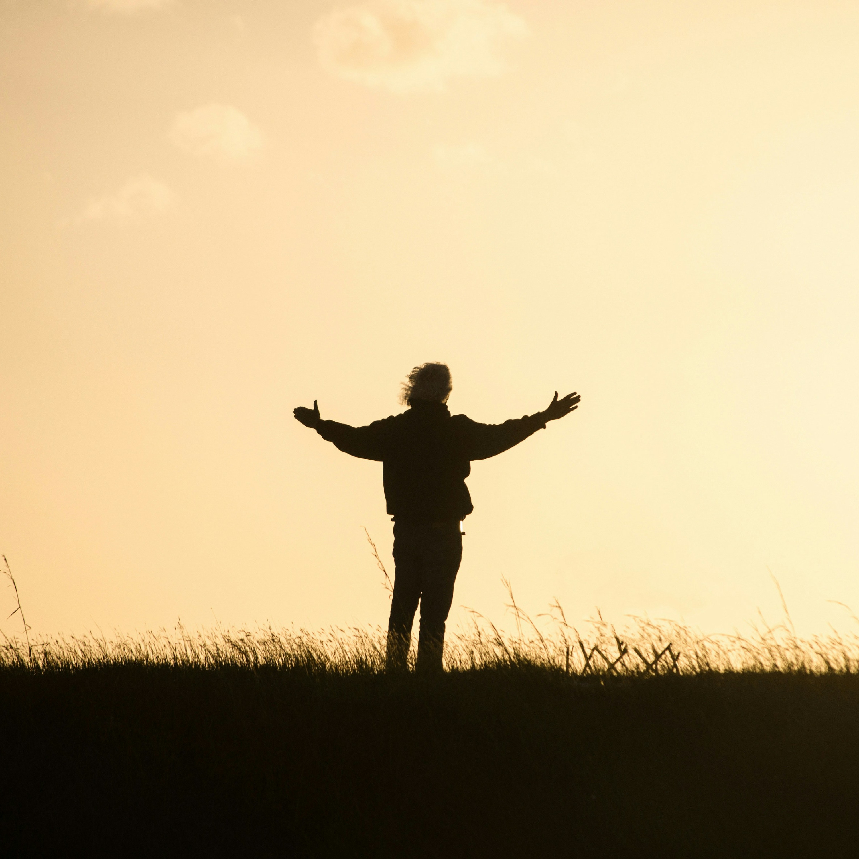 journée mondiale de la gratitude