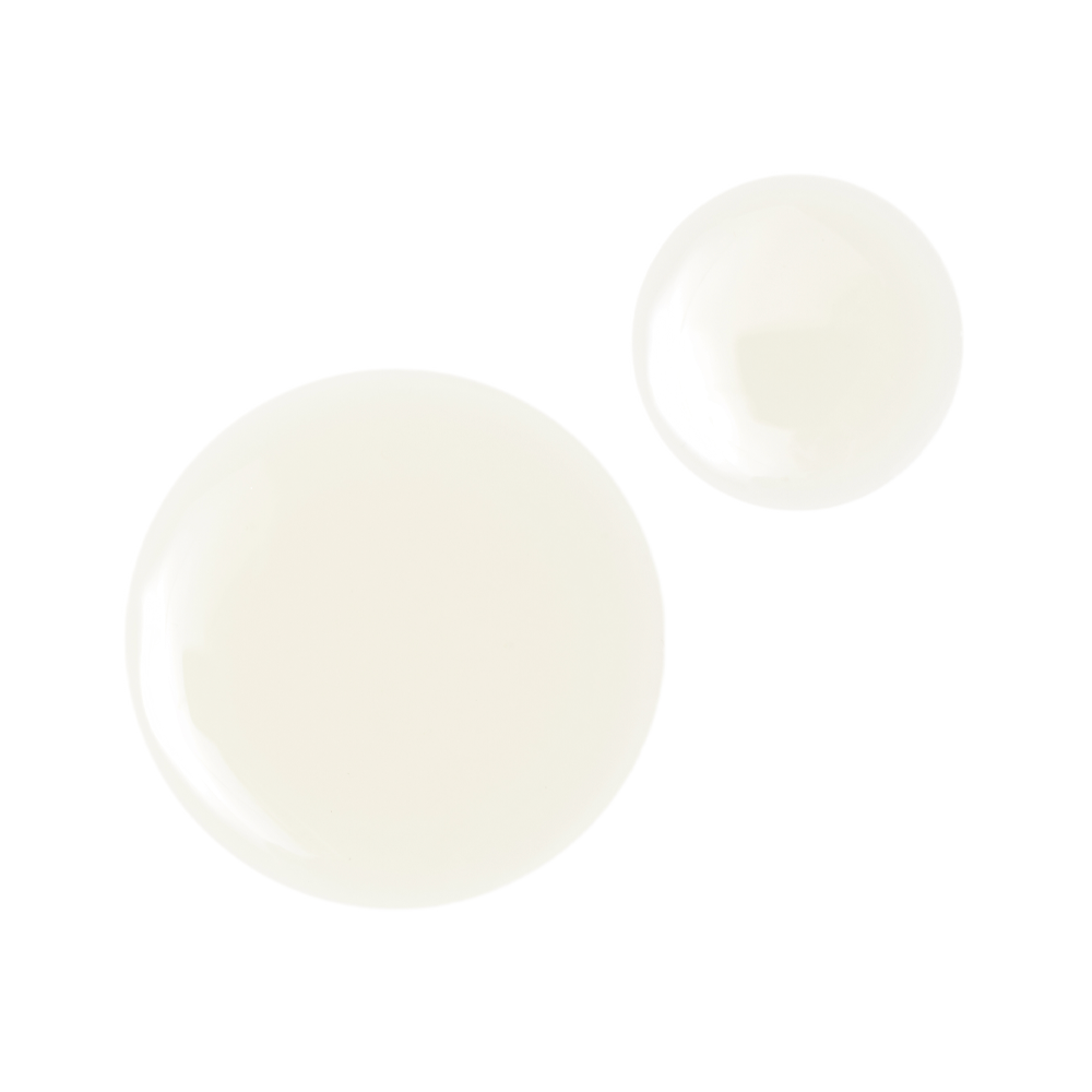 Campione dell'olio per labbra