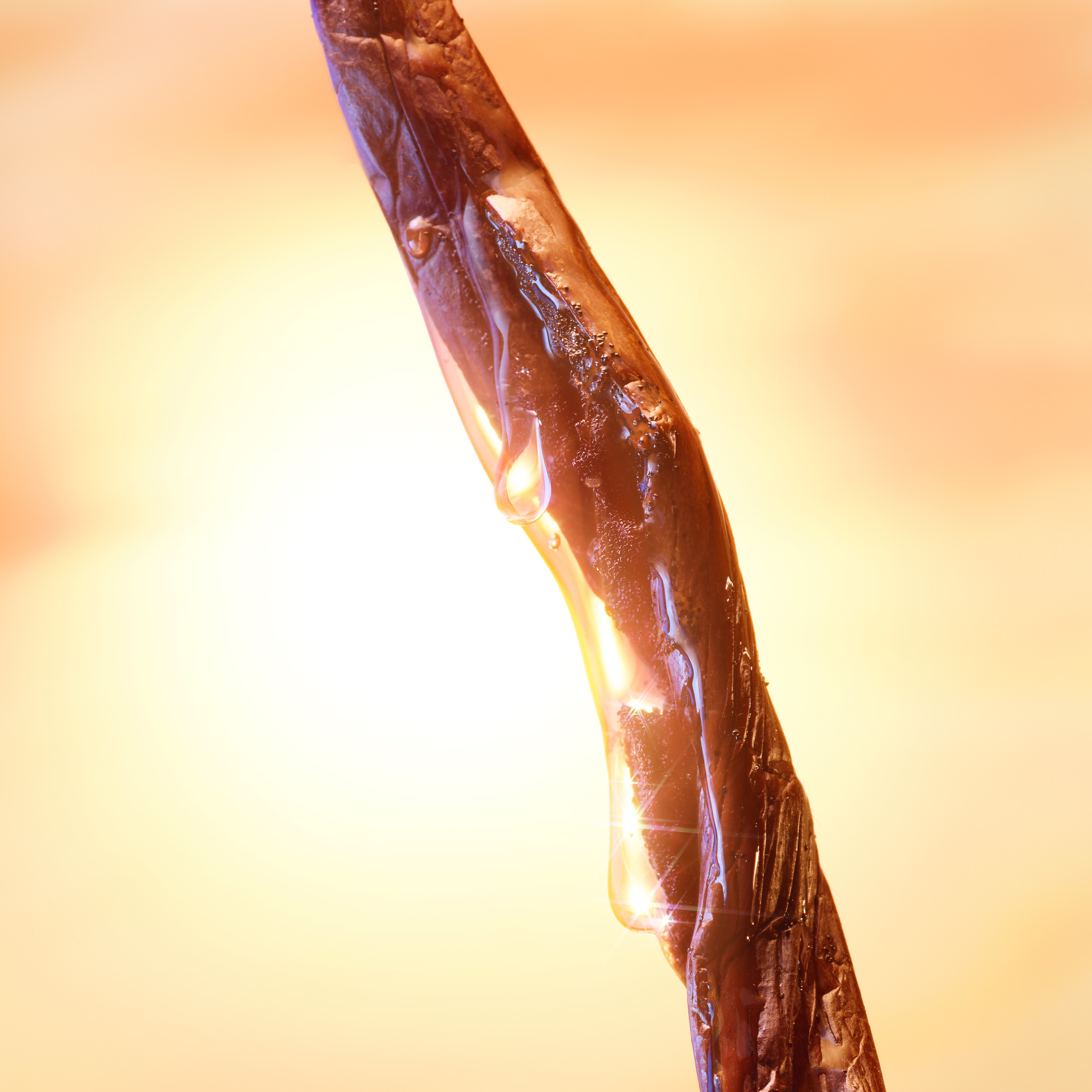 Vanilla bean extract