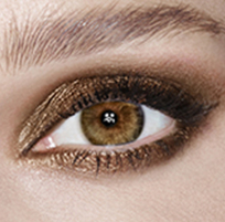 Expert-Artistry-Made-Easy 4