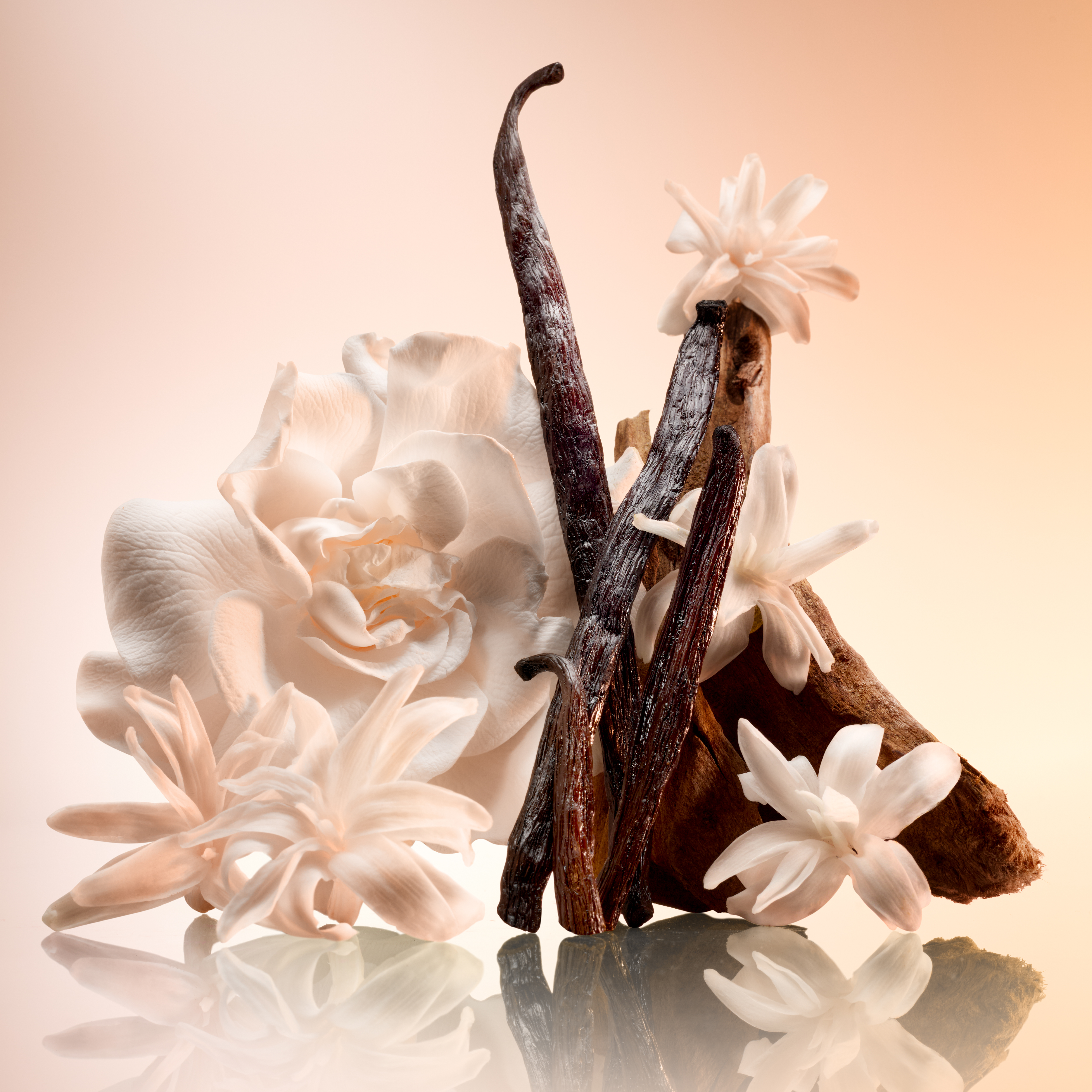 JOYPHORIA INGREDIENTS 