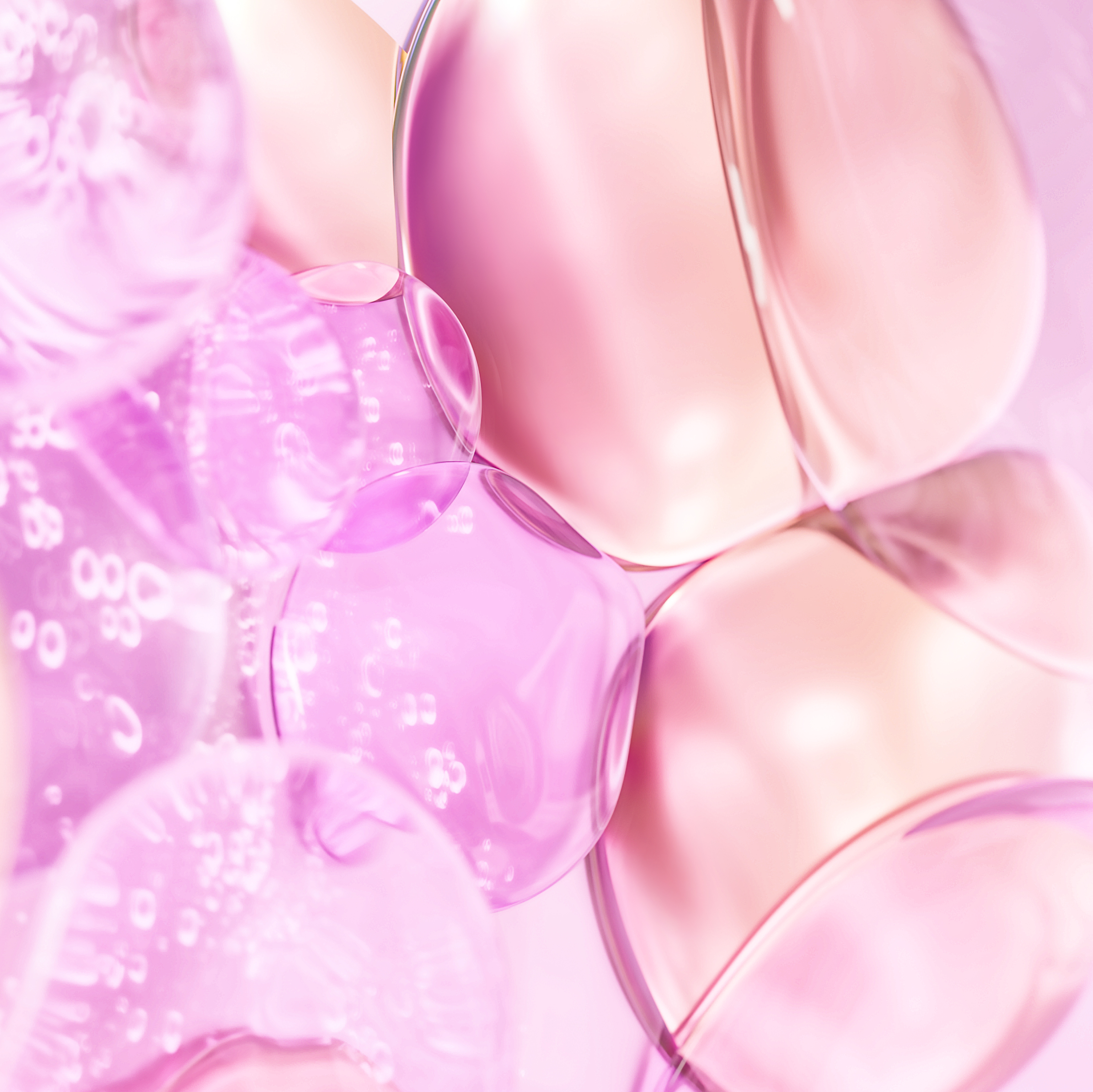 DAMASK ROSE WATER + OIL