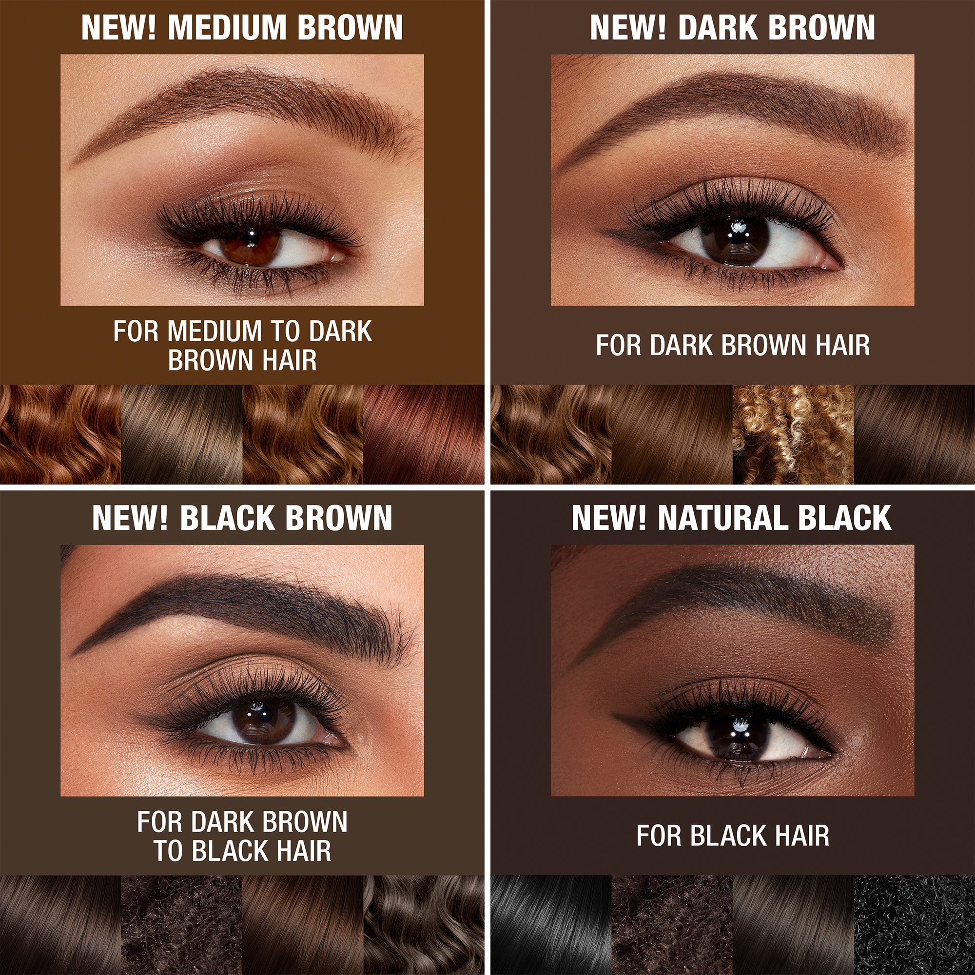 Brow HairColour ShadeFinder 4Shades Dark