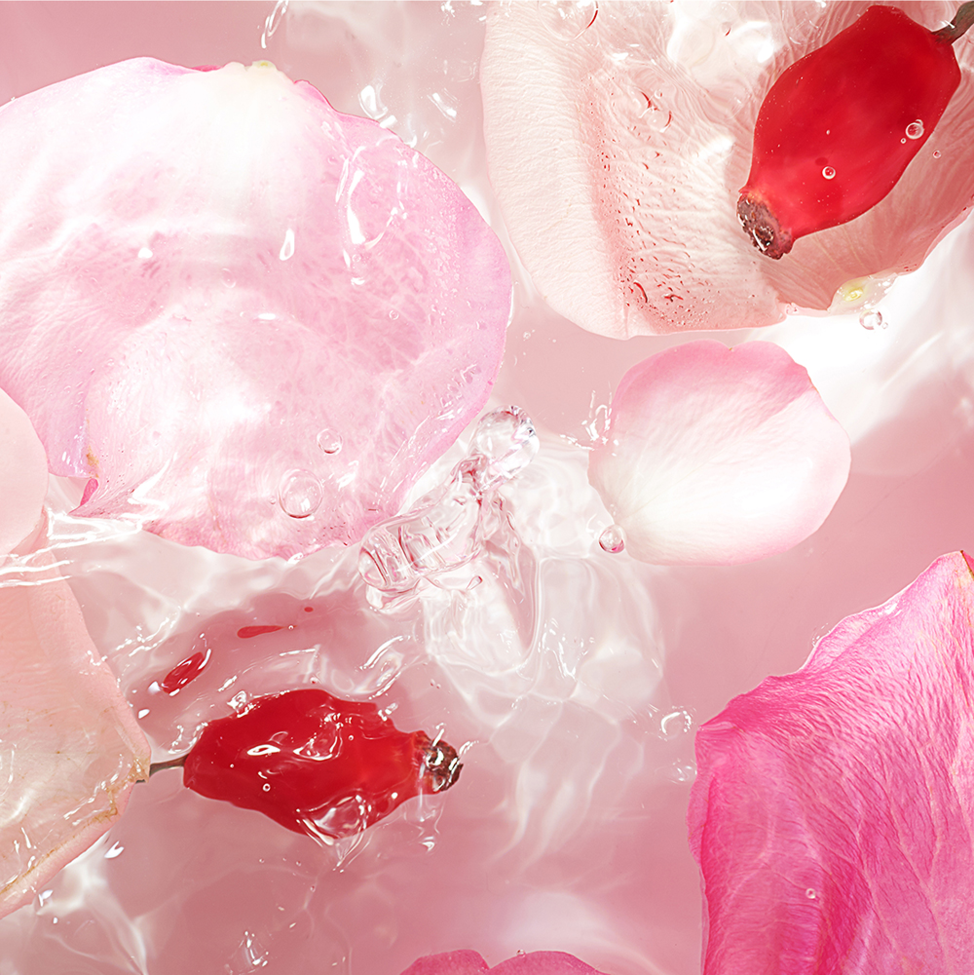 FRANGIPANI FLOWER EXTRACT