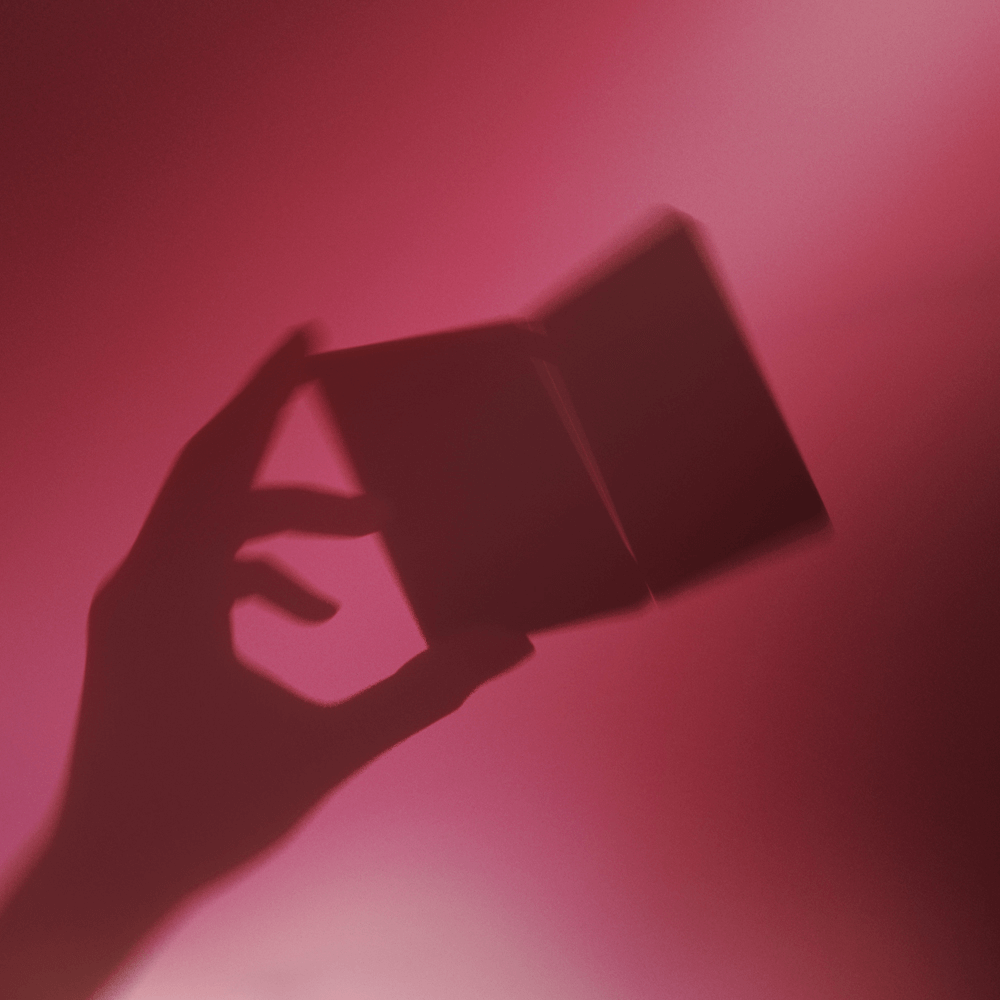 Mystery Box Bring Back PINK-silhouette2