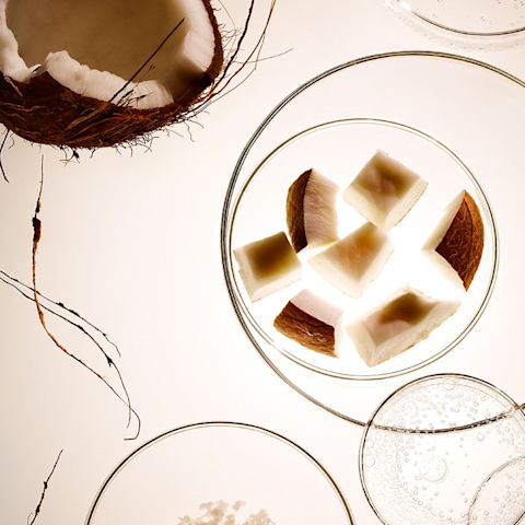 Cut-up coconut pieces under a microscope.