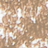 Close-up swatch of an eyebrow pencil in a light blonde shade. 