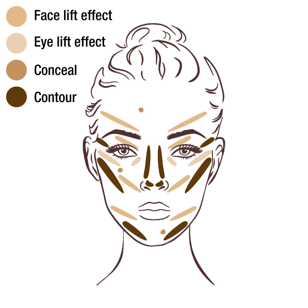 Rostro ilustrado que muestra 4 tonos de corrector en la colocación correcta para elevar, ocultar y contornear.