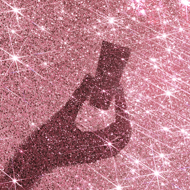 CHARLOTTE’S MYSTERY BEAUTY ICONS L.O.V.E. BAG-silhouette4 CHARLOTTE’S MYSTERY BEAUTY ICONS L.O.V.E. BAG-silhouette4