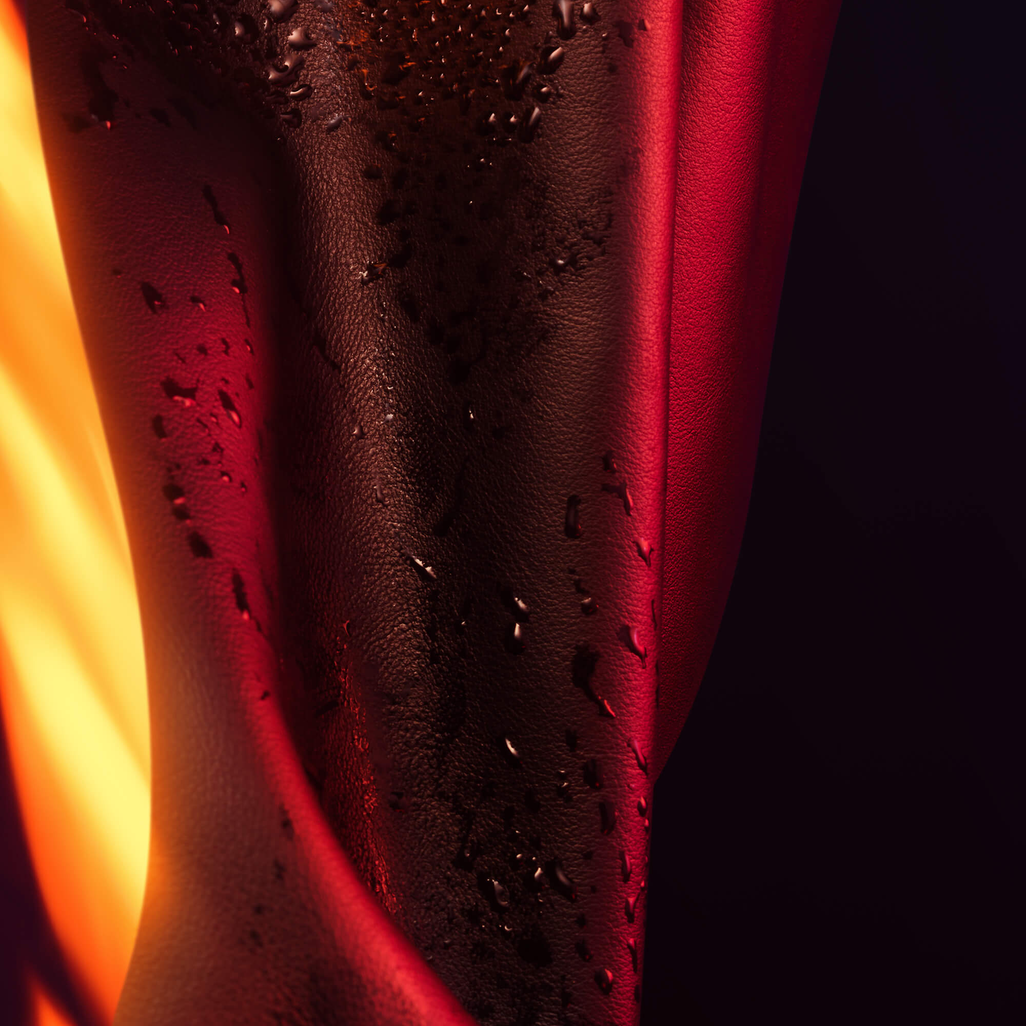 L'accord cuiré fait partie des ingrédients de l’eau de parfum More Sex de Charlotte