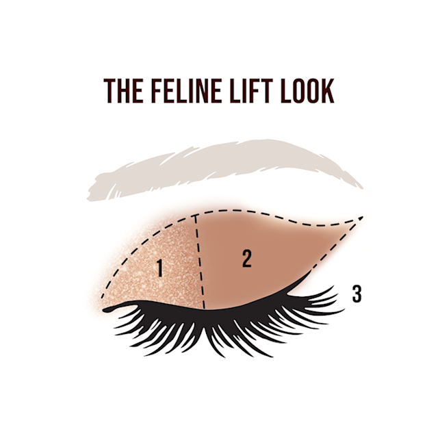 the feline lift eyeshadow look
