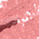 lip-cheat-pillow-talk-fair