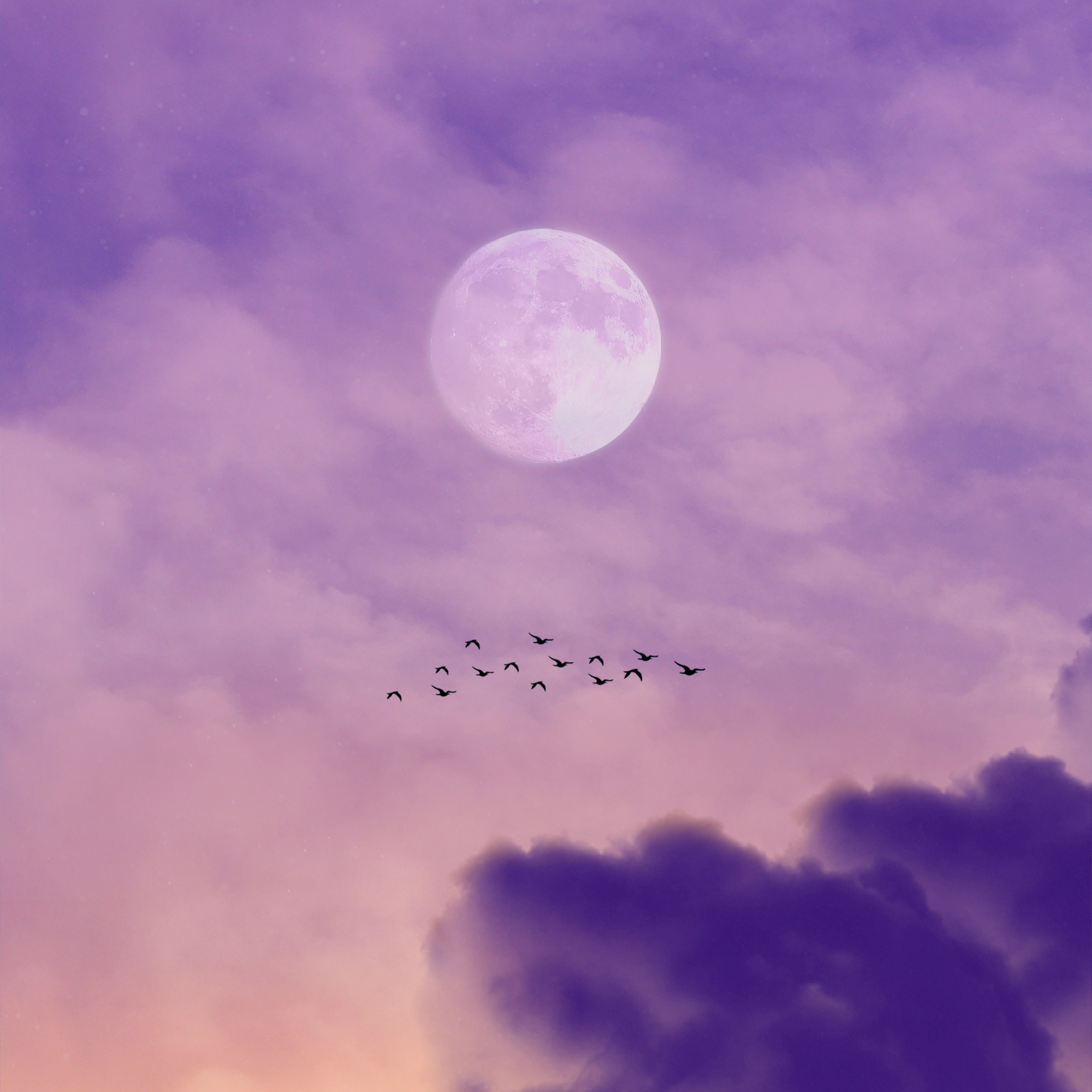Lavender moon horizon horoscopes March 2024